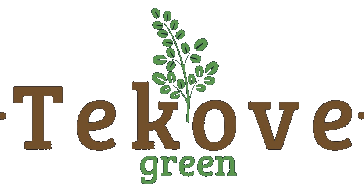 Conociendo a la mejor moringa del Paraguay, de la mano de Tekove
