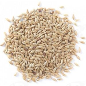 Semilla de Alpiste 500gr