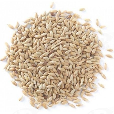 Semilla de Alpiste 500gr